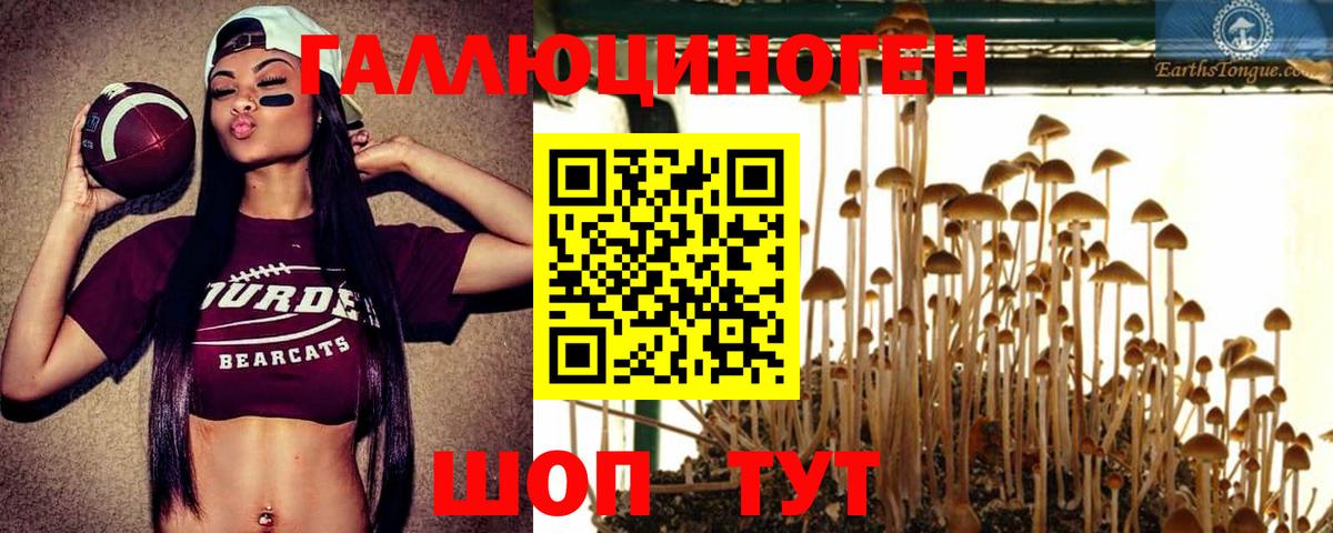 Лысьва  Псилоцибиновые грибы MAGIC MUSHROOMS  Вход с VPN 